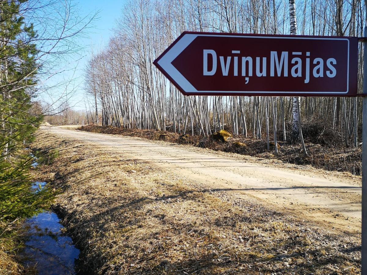 巴尔维Dvinumajas别墅 外观 照片